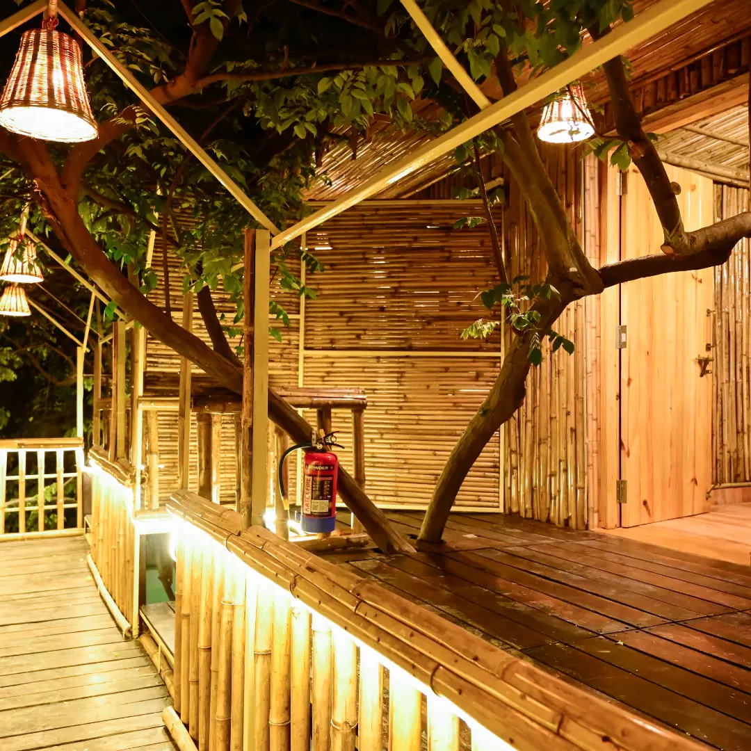 Tree House First - View 3