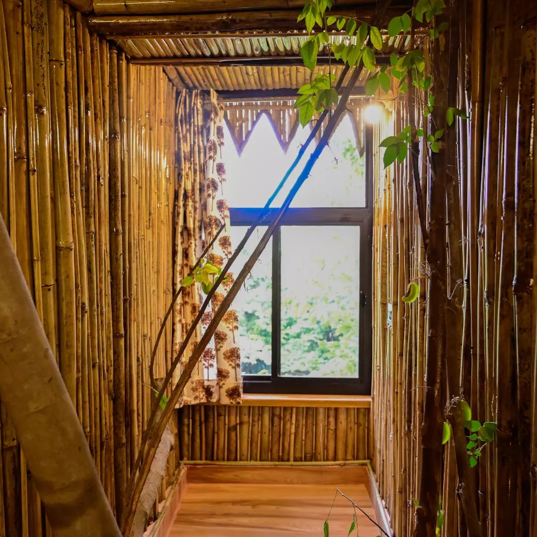 Tree House First - View 5