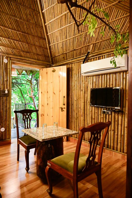 Tree House Third - View 2