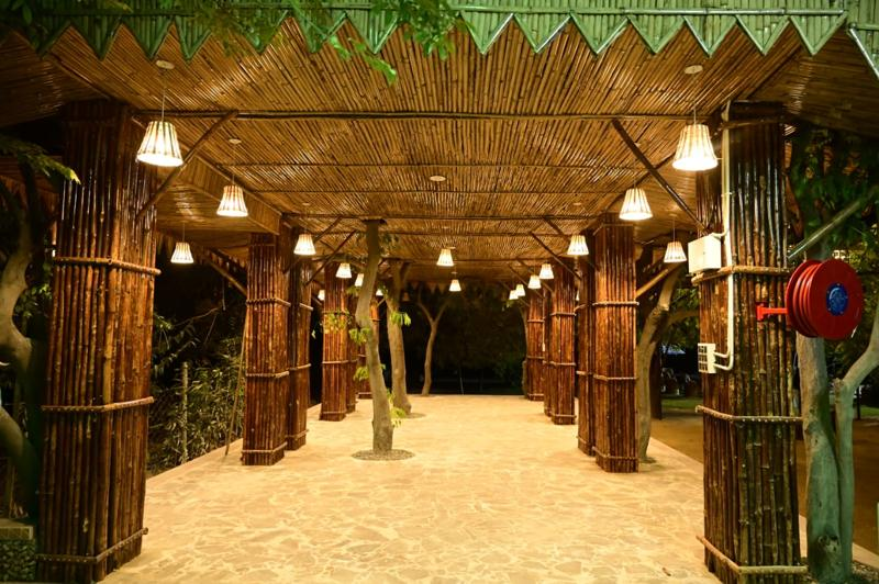 Way to Tree House Image 2