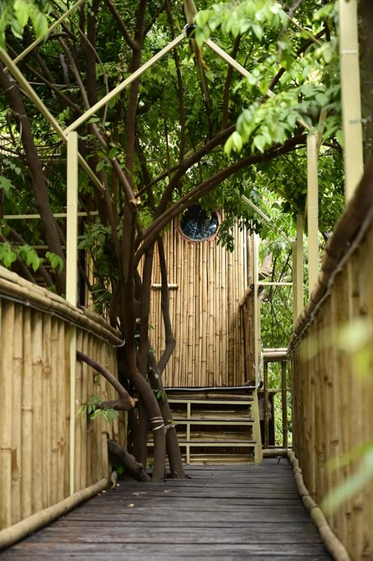 Way to Tree House Image 4