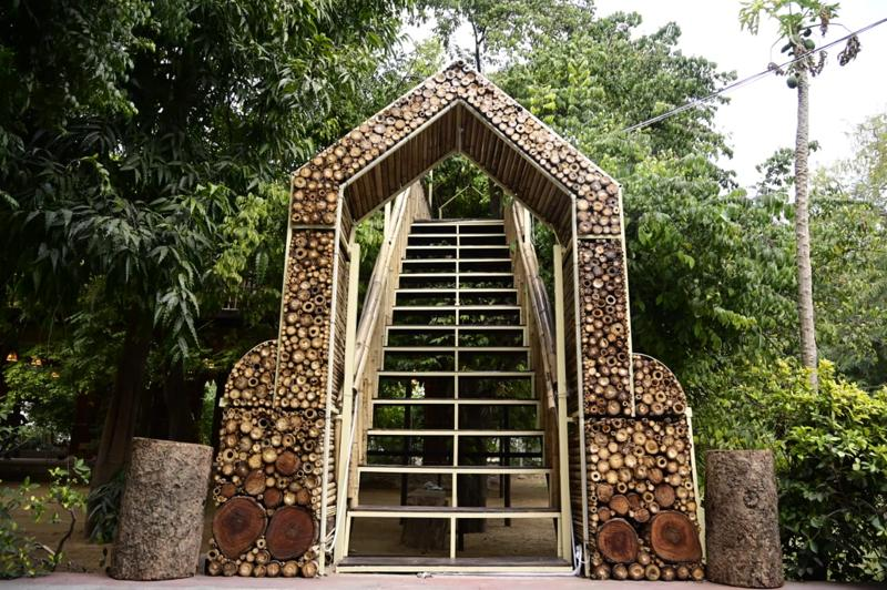 Way to Tree House Image 5